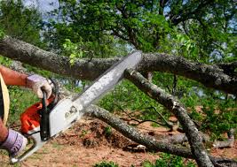 Lawn Watering Services in Hayfield, VA